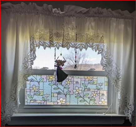 PRIVACY DECALS FOR WINDOWS